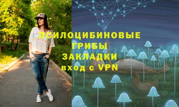 винт Медвежьегорск