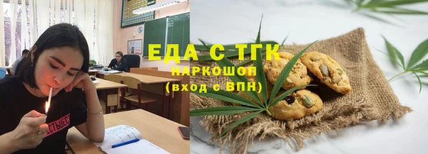 стаф Медногорск
