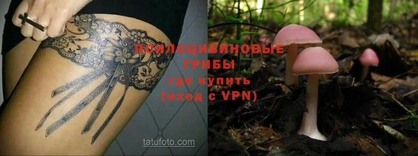 винт Медвежьегорск