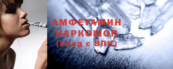 молекула духа Мегион