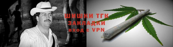 стаф Медногорск