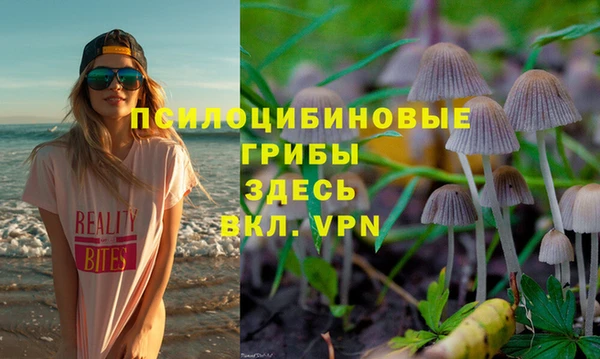винт Медвежьегорск