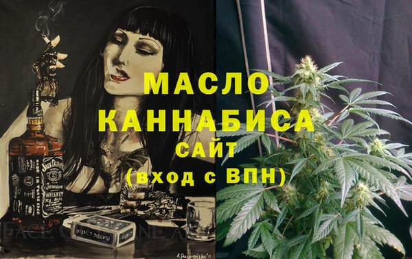 стаф Медногорск
