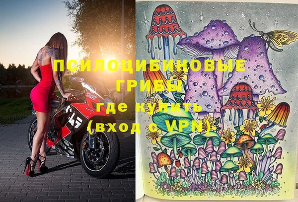 молекула духа Мегион