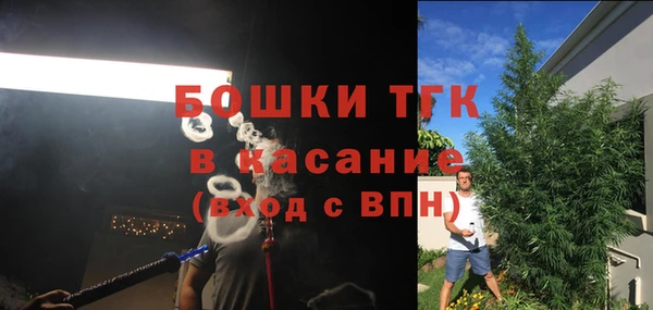 молекула духа Мегион