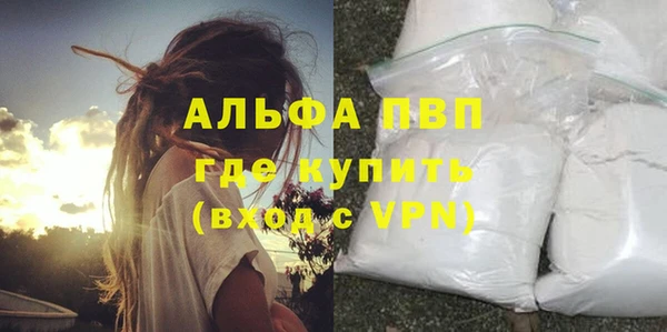 стаф Медногорск