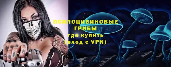 стаф Медногорск