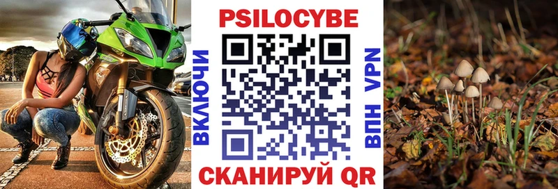 купить закладку  Янаул  Псилоцибиновые грибы прущие грибы 